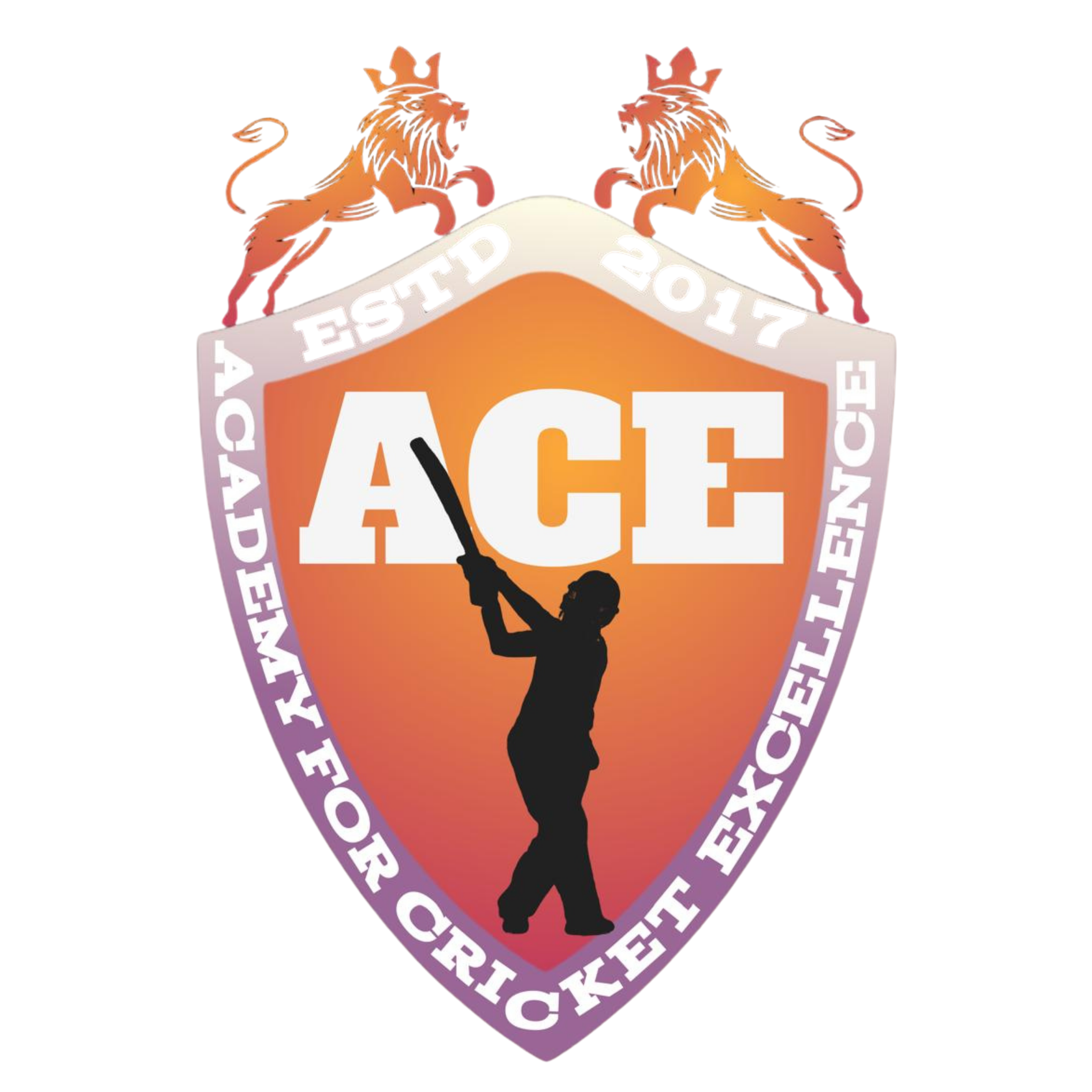 ACE Academy crest logo